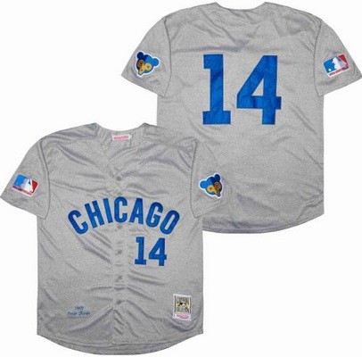 Men's Chicago Cubs #14 Ernie Banks Gray 1969 Throwback Jersey
