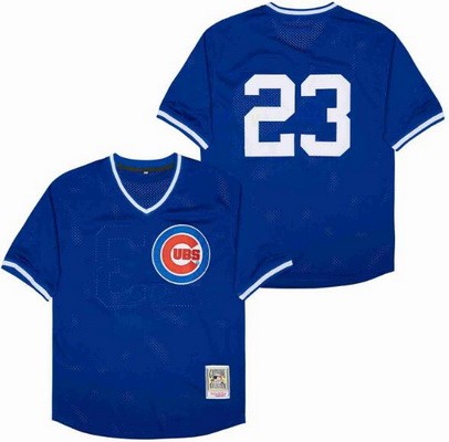 Men's Chicago Cubs #23 Ryne Sandberg Blue Mesh Throwback Jersey