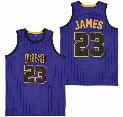 Men's Notre Dame Fighting Irish #23 Lebron James Purple Stripes Swingman Jersey