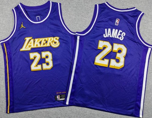 Youth Los Angeles Lakers #23 LeBron James Purple 2025 City Swingman Jersey