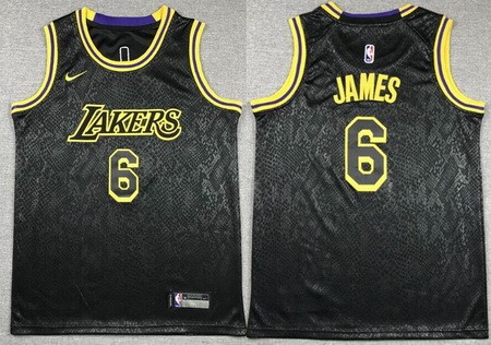 Youth Los Angeles Lakers #6 LeBron James Black City Icon Swingman Jersey