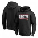 Men's Arizona Coyotes Printed Pullover Hoodie 112298