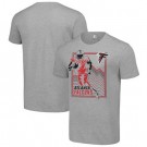 Men's Atlanta Falcons Gray Graphic Shield Logo T Shirt