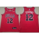 Men's Chicago Bulls #12 Ayo Dosunmu Red Icon Sponsor Swingman Jersey