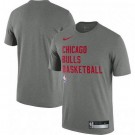 Men's Chicago Bulls Gray Sideline Legend Performance Practice T Shirt