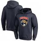 Men's Florida Panthers Printed Pullover Hoodie 112322