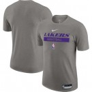 Men's Los Angeles Lakers Gray 2022 Legend On Court Practice Performance T Shirt