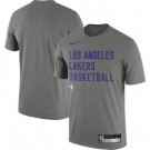 Men's Los Angeles Lakers Gray Sideline Legend Performance Practice T Shirt