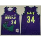 Men's Milwaukee Bucks #34 Ray Allen Purple 1996 Throwback Swingman Jersey