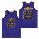 Men's Notre Dame Fighting Irish #23 Lebron James Purple Stripes Swingman Jersey