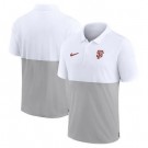 Men's San Francisco Giants White Gray Patchwork Polo