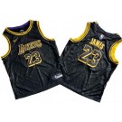 Youth Los Angeles Lakers #23 LeBron James Black City Icon Swingman Jersey