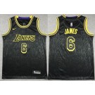 Youth Los Angeles Lakers #6 LeBron James Black City Icon Swingman Jersey